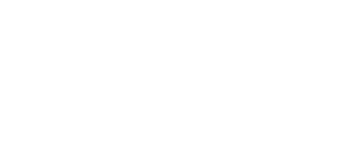 logo 2 - Copie